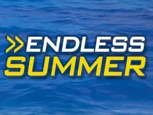 Endless Summer game cover